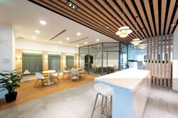 PLUS (D1), Office #570496301